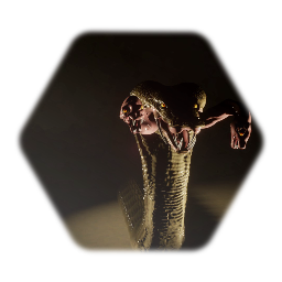 Jimmy's Monster Pool