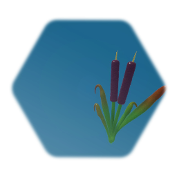 Remix of Bulrush