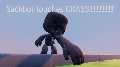 <term>Sackboi animation's and stuff. 2