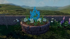 Community Garden Showcase: Herbs