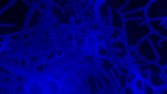 Mother's Story: The Dark Matter Cosmic Web