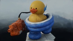 Duck