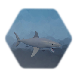 Great White Shark (with animations)
