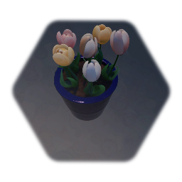 Tulips