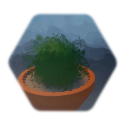 Potted Plant
