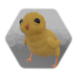 Baby Chick