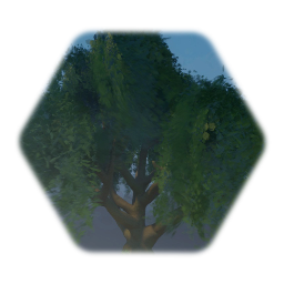Willow Tree : SP