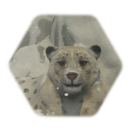 Snow leopard