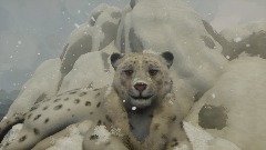 Remix of Snow leopard