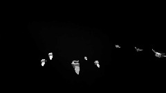 Flying Toaster Screensaver