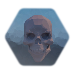 Human skull