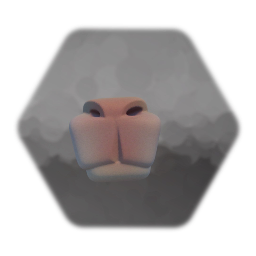 Snout