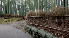 A screenshot taken in Dreams. 14 of 21.