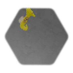 Seahorse
