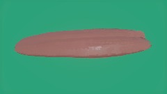 A screenshot taken in Dreams. 2 of 4.