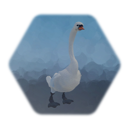 Swan