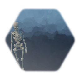 Skeleton wp