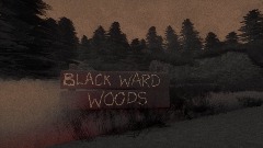 Woods scene