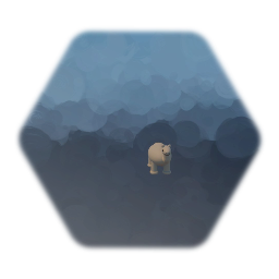 Mr Camel