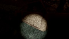 Siren head footage