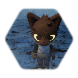 Coop 2D (Character Model)