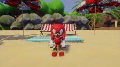Knuckles goes to the beach