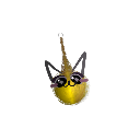 Catkita