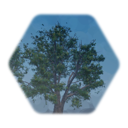 White Oak Tree by animeboy0021