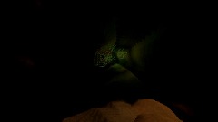 Spider leaving clues