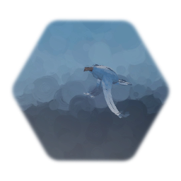 Seagull