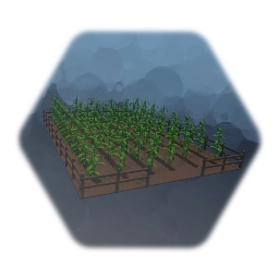 Small Field of Corn