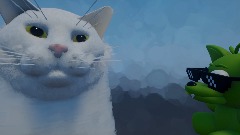 Cat vibes to its been so long