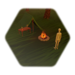Camping in the woods