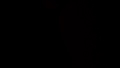 Thats not my imagination