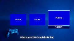 What is your PS4 Console looks like?