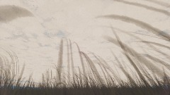 Grass and Clouds