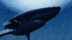 FIXED GREAT WHITE SHARK