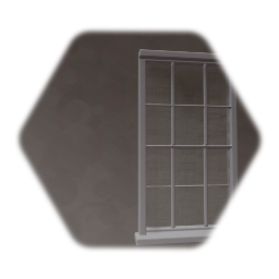 Window