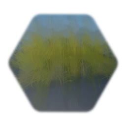 Overgrown Grass