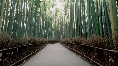 A screenshot taken in Dreams. 4 of 6.