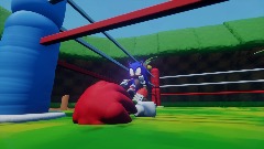 Sonic Vs. Knuckles
