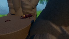 Operation P.I.C.N.I.C. Introduction