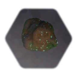 Medium Beach Rock w/ lichen