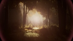 Sounds of the Forest