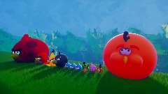 Angry Birds Demo Showcase