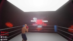 Mini Boxing Arena Test