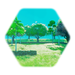 Forest scenery