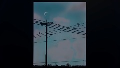 Birds And Electricity By LegendOfSketchy