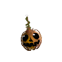 derpysquash