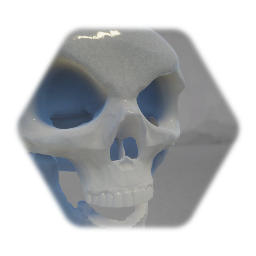 Skull